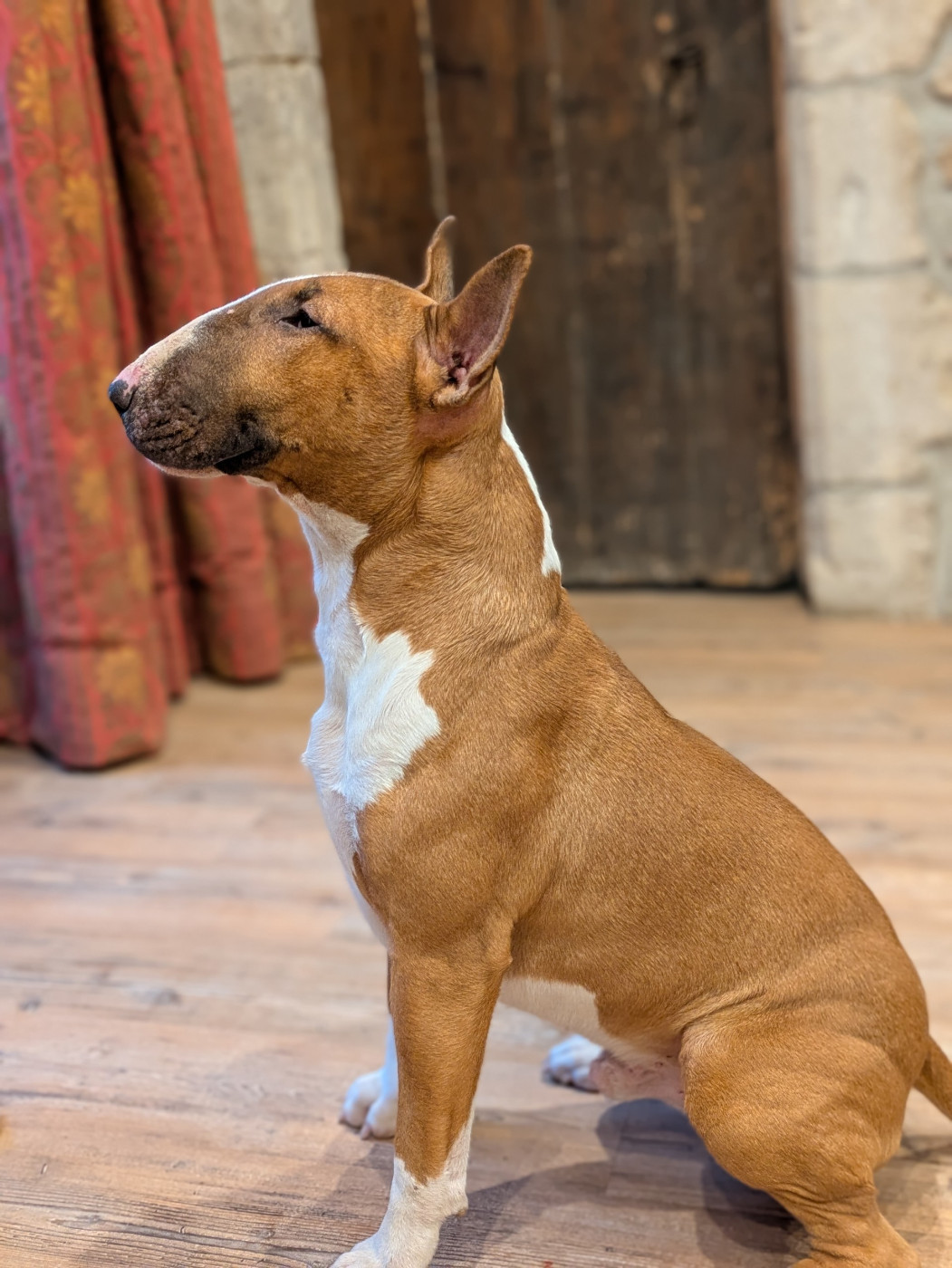 Venom Du Domaine New World